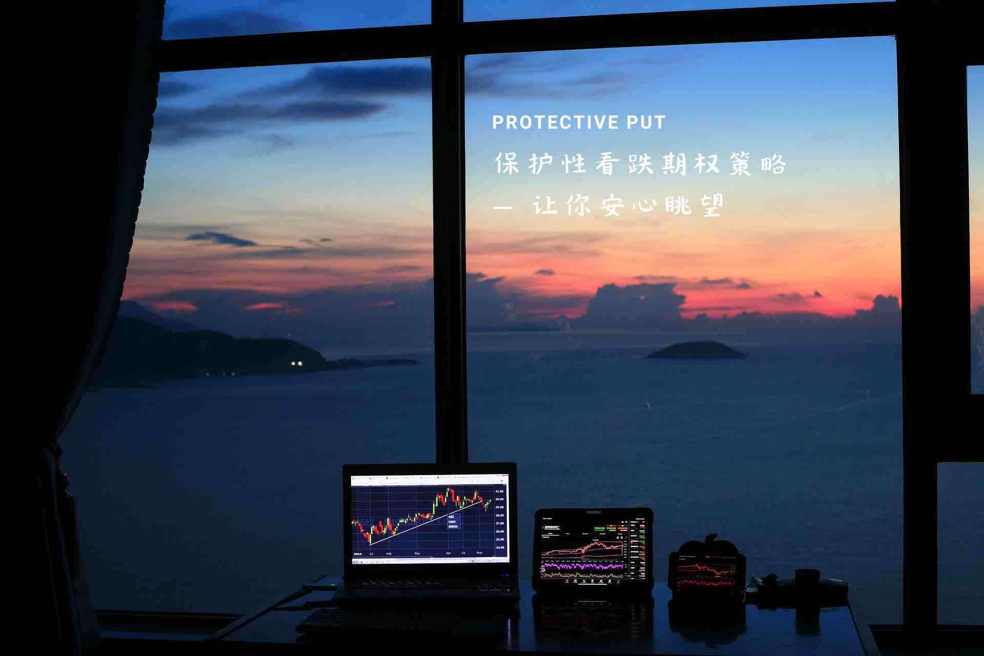Preview image for 【期权策略】保护性看跌期权(Protective Put)策略:股票投资者必备避险工具