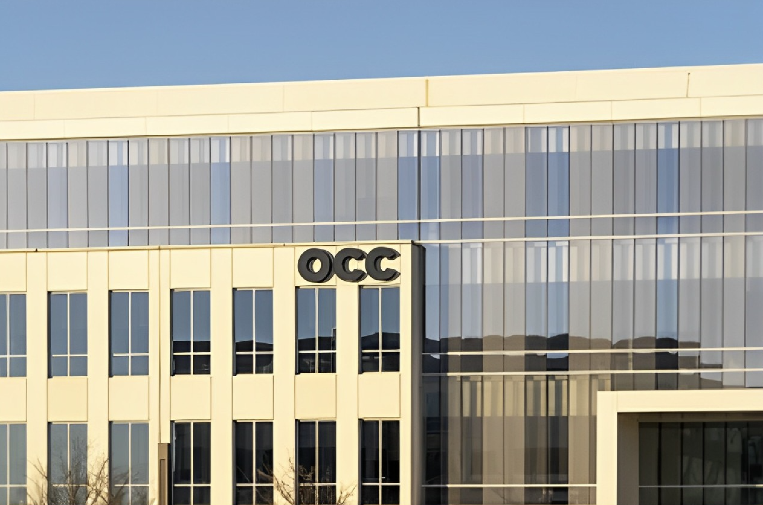 期权清算公司是全球最大的股票衍生品清算组织